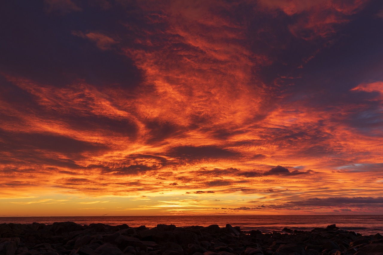 Holiday Havocs: Tourism’s Impact On Coastal and Marine Ecosystems